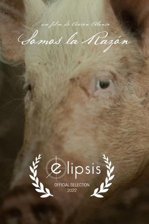 Somos la Razon's poster