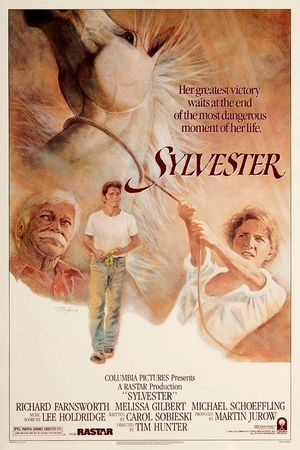 Sylvester's poster