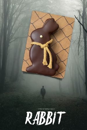 Rabbit's poster
