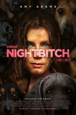 Nightbitch's poster