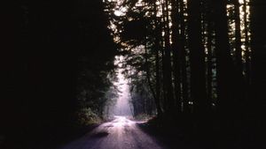 Twin Peaks: Visual Soundtrack's poster