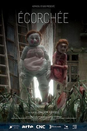Skinned's poster