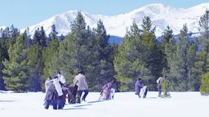 Dead of Winter: The Donner Party's poster
