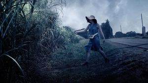 In the Tall Grass's poster