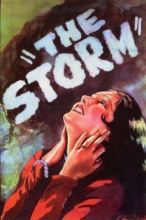 The Storm's poster