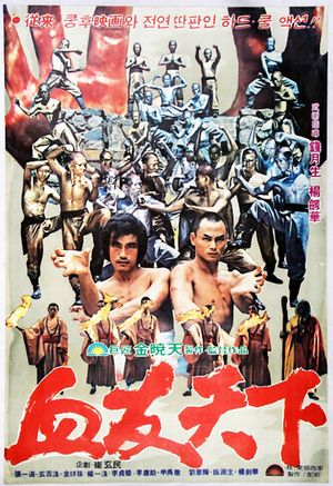 Fury in the Shaolin Temple's poster