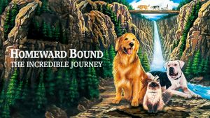 Homeward Bound: The Incredible Journey's poster