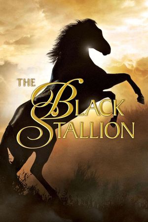 The Black Stallion's poster