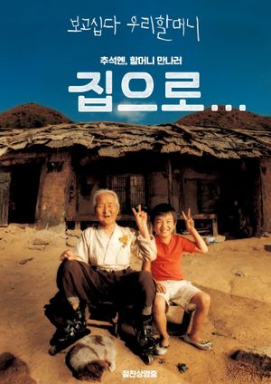 The Way Home's poster
