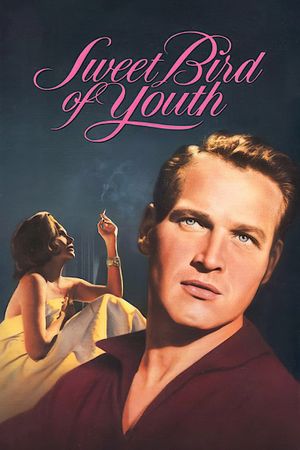 Sweet Bird of Youth's poster