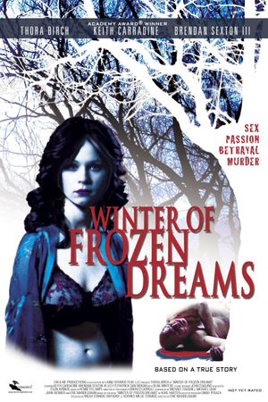 Winter of Frozen Dreams's poster image