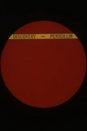 The Discovery of Penicillin's poster
