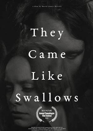 They Came Like Swallows's poster