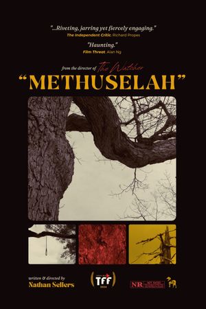 Methuselah's poster