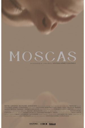 Moscas's poster