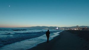 Knight of Cups's poster