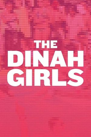 The Dinah Girls's poster image