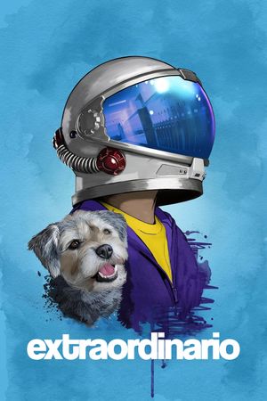 Wonder's poster