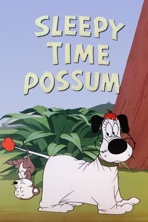 Sleepy Time Possum's poster