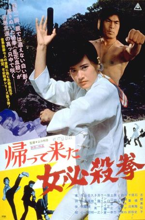 Return of the Sister Street Fighter's poster