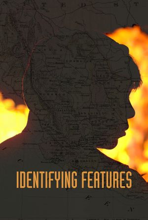 Identifying Features's poster