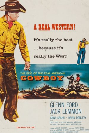 Cowboy's poster