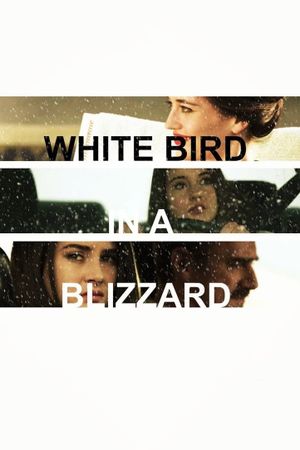 White Bird in a Blizzard's poster