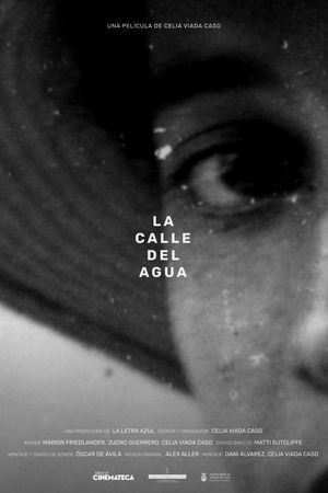 La calle del agua's poster