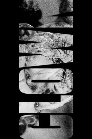 Clown's poster