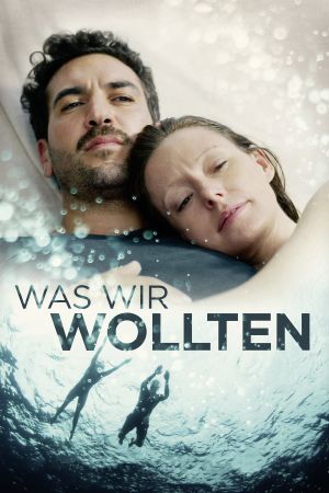 What We Wanted's poster