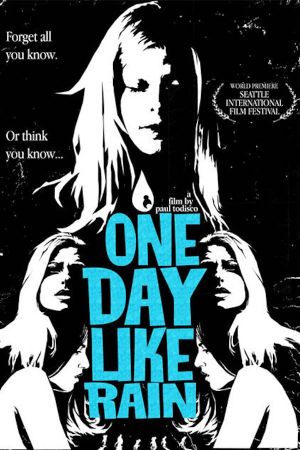 One Day Like Rain's poster