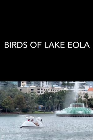 Birds of Lake Eola's poster