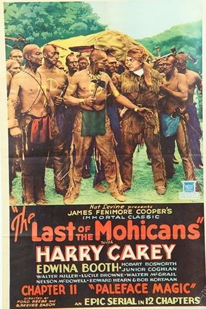 The Last of the Mohicans's poster