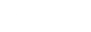 The Twin's poster
