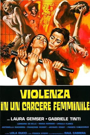 Violence in a Women's Prison's poster