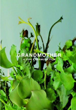 Grandmother's poster