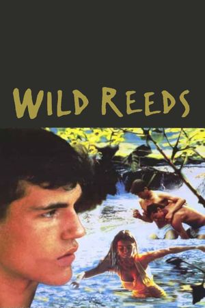 Wild Reeds's poster