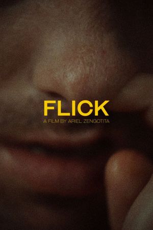 Flick's poster