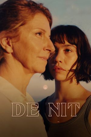 De nit's poster