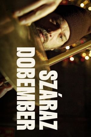 Száraz dobember's poster