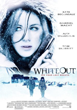 Whiteout's poster