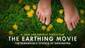 The Earthing Movie's poster
