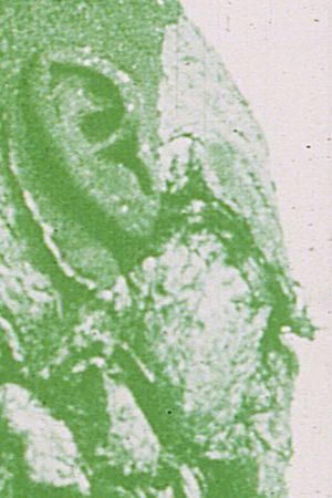 The Green Gate: Magellan at the Gates of Death, Part II's poster