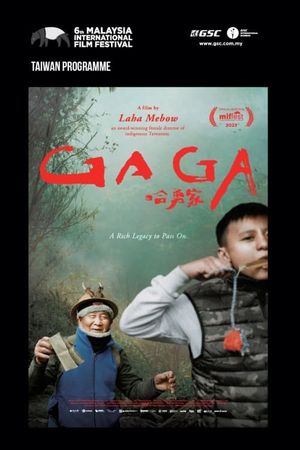 Gaga's poster