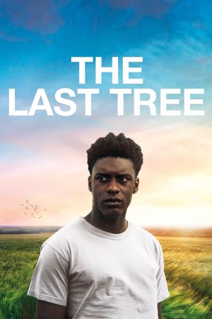 The Last Tree's poster