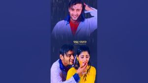 Barsa My Darling's poster