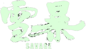 Savage's poster