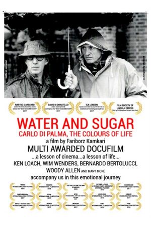 Water and Sugar's poster