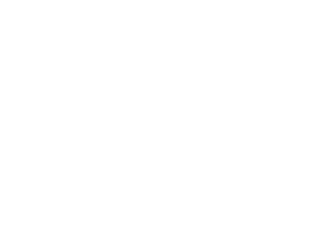 Digimon Adventure tri. Part 5: Coexistence's poster