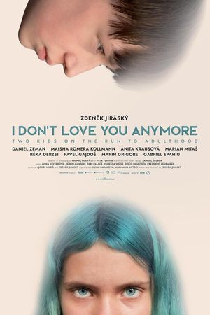 I Don't Love You Anymore's poster